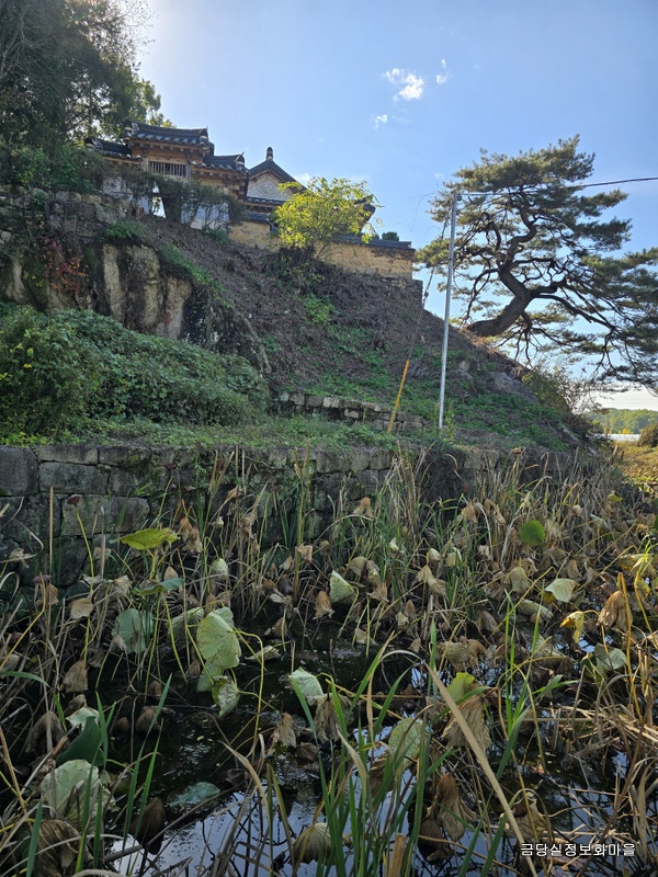 4.가을빛으로 물든 예천 병암정